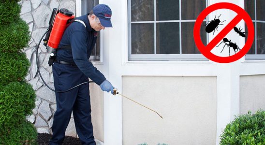 Hacılar Haşere İlaçlama böcek ilaçlama ve haşere kontrolü — ilaclama-tr.com